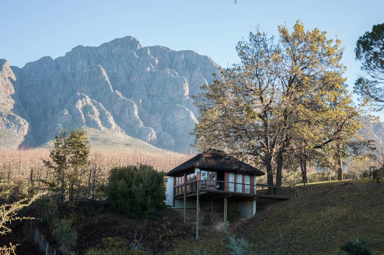 Tulbagh Mountain Manor ξενώνας Κέιπ Τάουν Εξωτερικό φωτογραφία